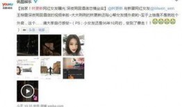 网红爆料最新视频,揭秘幕后真相，带你走进事件核心